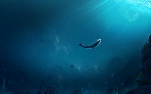 Превью обои кит, океан, подводный мир, пузырьки воздуха, дно, лучи света