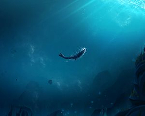 Превью обои кит, океан, подводный мир, пузырьки воздуха, дно, лучи света