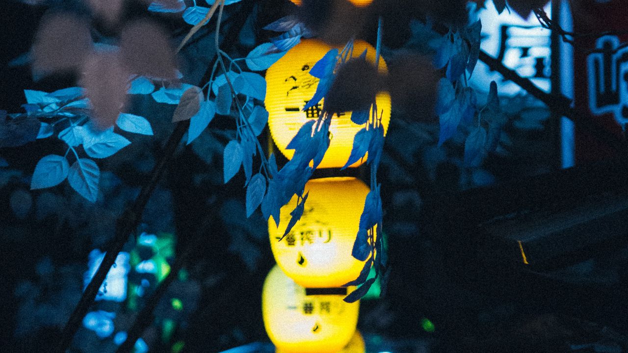 Обои китайские фонари, ветки, декорация, свет, свечение