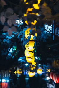 Превью обои китайские фонари, ветки, декорация, свет, свечение