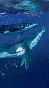 Превью обои киты, вода, под водой, море, арт