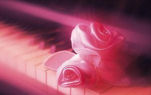 Превью обои клавиши, роза, нежное, розовое