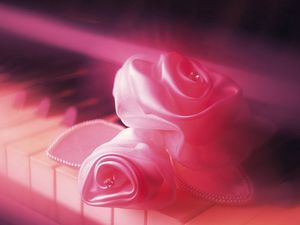 Превью обои клавиши, роза, нежное, розовое