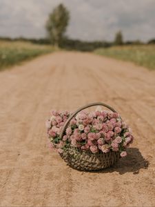 Превью обои клевер, цветы, букет, корзина, дорога