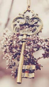 Превью обои ключ, цветы, размытость, сувенир
