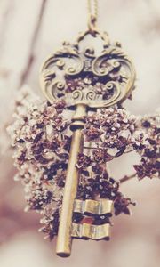 Превью обои ключ, цветы, размытость, сувенир