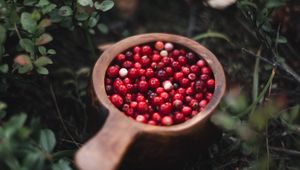 Превью обои клюква, ягода, фрукт, трава, растение