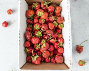Превью обои клубника, ягода, фрукт, коробка
