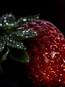 Превью обои клубника, ягода, капли, макро
