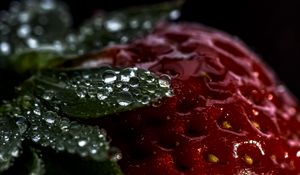 Превью обои клубника, ягода, капли, макро