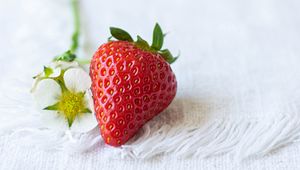 Превью обои клубника, ягода, цветы, ткань
