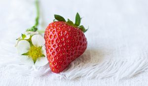 Превью обои клубника, ягода, цветы, ткань