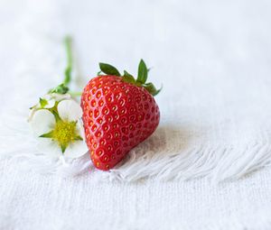 Превью обои клубника, ягода, цветы, ткань