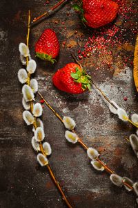 Превью обои клубника, ягода, верба, ветка, поверхность