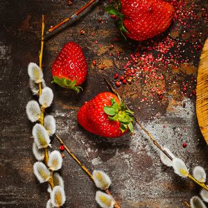 Превью обои клубника, ягода, верба, ветка, поверхность