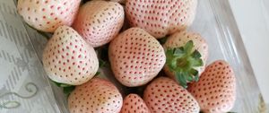 Превью обои клубника, ягоды, десерт, еда