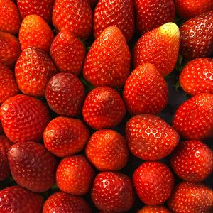 Превью обои клубника, ягоды, фрукты, сочный, спелый, красный