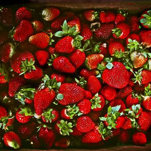 Превью обои клубника, ягоды, спелый, сочный