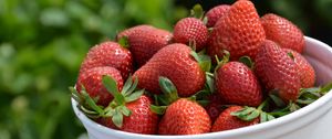 Превью обои клубника, листья, ягоды, размытие