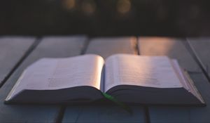 Превью обои книга, чтение, размытость, блики, боке