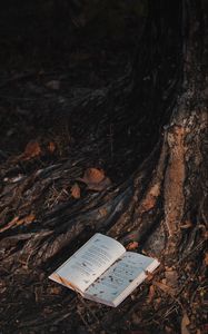 Превью обои книга, дерево, лес