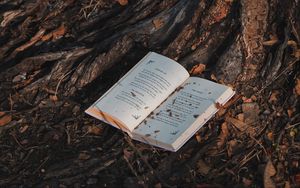 Превью обои книга, дерево, лес
