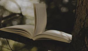 Превью обои книга, дерево, ветка, размытие