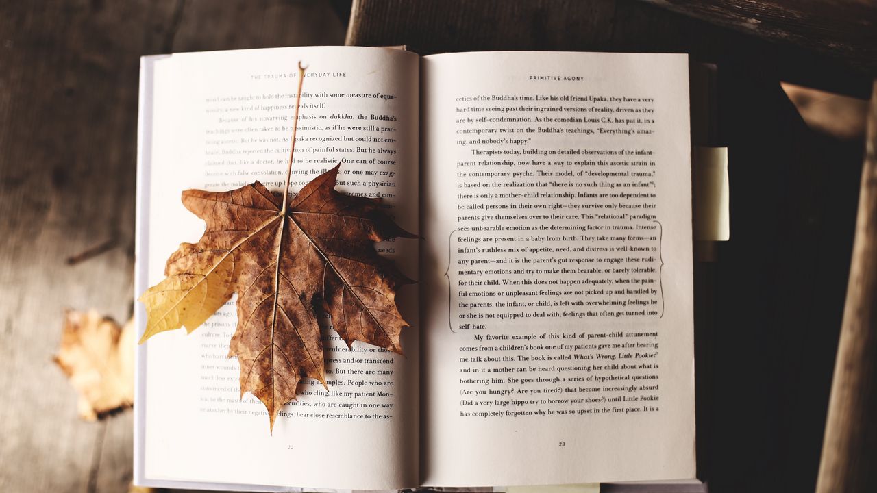 Обои книга, клен, лист, осень