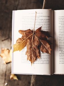 Превью обои книга, клен, лист, осень