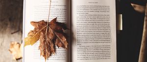 Превью обои книга, клен, лист, осень