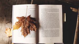 Превью обои книга, клен, лист, осень
