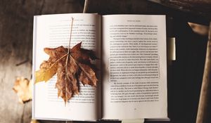 Превью обои книга, клен, лист, осень