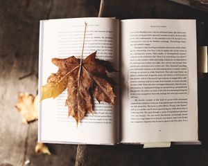 Превью обои книга, клен, лист, осень
