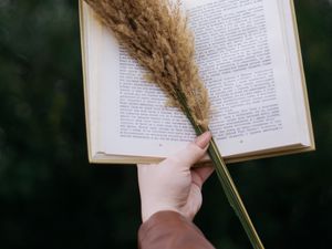 Превью обои книга, колоски, букет, рука