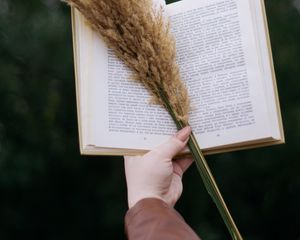 Превью обои книга, колоски, букет, рука