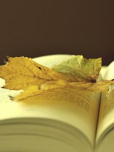 Превью обои книга, лист, осень, закладка