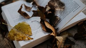 Превью обои книга, листья, осень