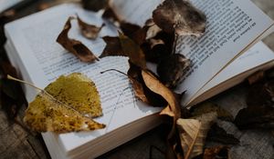 Превью обои книга, листья, осень