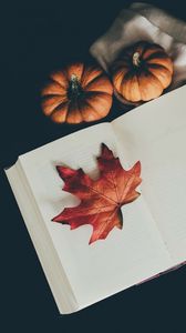 Превью обои книга, листок, тыква, шарф, осень
