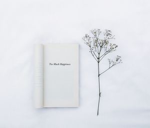 Превью обои книга, надпись, слова, цветок, белый, минимализм