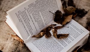 Превью обои книга, ноутбук, листья, сухой, осень, эстетика