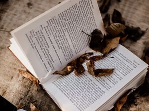 Превью обои книга, ноутбук, листья, сухой, осень, эстетика