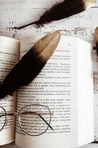 Превью обои книга, очки, перья, натюрморт