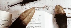 Превью обои книга, очки, перья, натюрморт