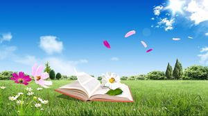 Превью обои книга, поле, цветы, полет, небо, природа, настроение