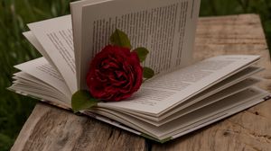 Превью обои книга, роза, цветок, красный