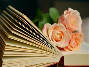 Превью обои книга, розы, букет, чтение