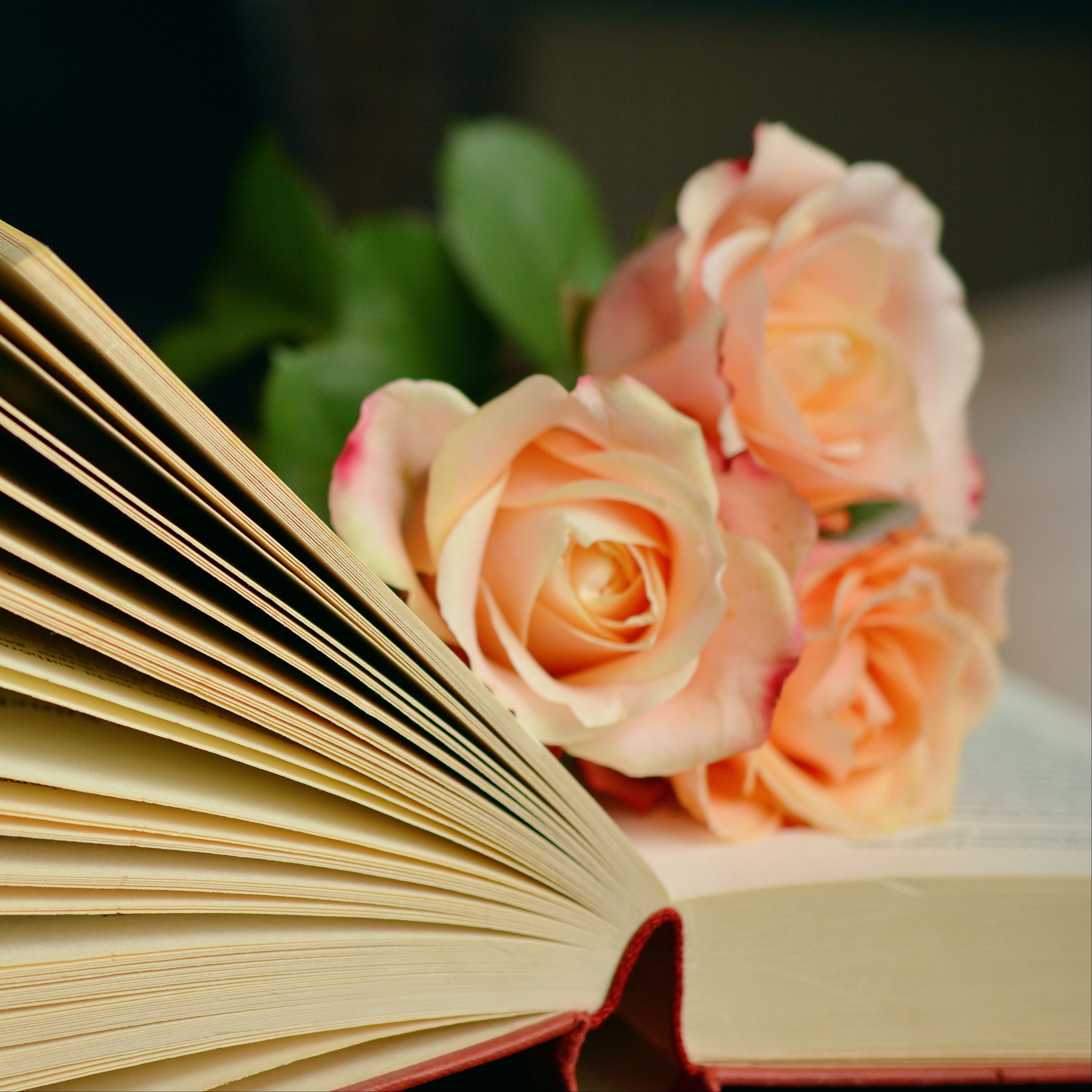 В книге 67 страниц. Книга цветы. Книга с цветами. Открытка с книгой и цветами.