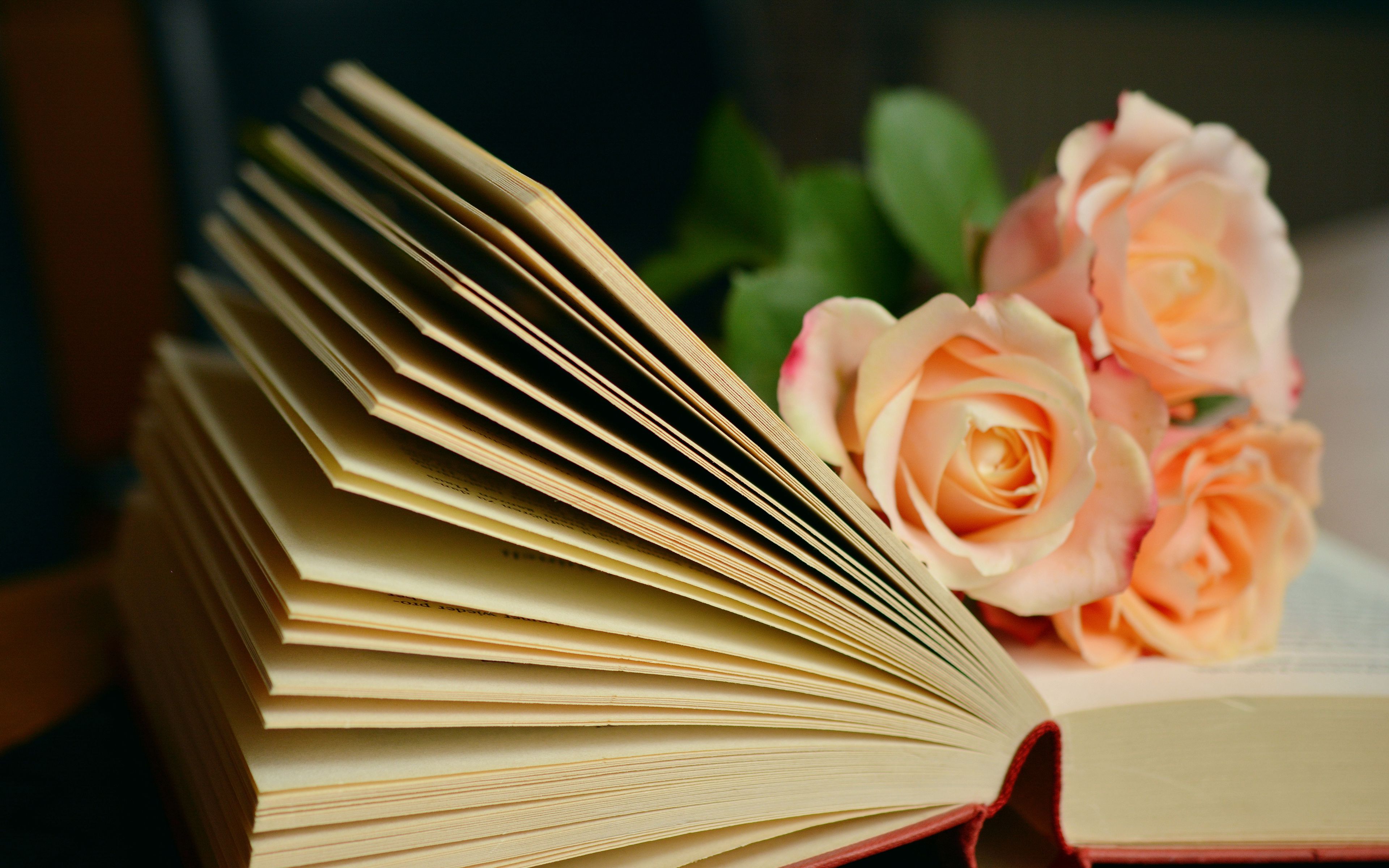 Красивые обои картинок с книгами