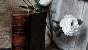 Превью обои книга, старый, розы, цветы